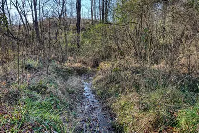 408 Smith Road, Brasstown, NC 28902 - Photo 3