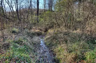 408 Smith Rd, Brasstown, NC 28902 - Photo 3