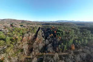 408 Smith Rd, Brasstown, NC 28902 - Photo 33