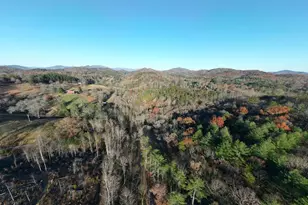 408 Smith Rd, Brasstown, NC 28902 - Photo 37