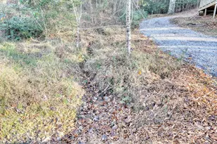408 Smith Rd, Brasstown, NC 28902 - Photo 31
