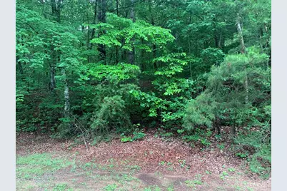 805 Bethabara Road, Hayesville, NC 28904 - Photo 9