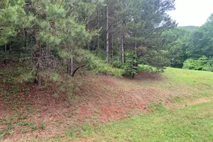 805 Bethabara Rd, Hayesville, NC 28904 - Photo 13