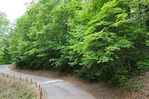 00 Dogwood Trail, Robbinsville, NC 28771 - Photo 1