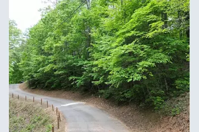 000 Dogwood Trail, Robbinsville, NC 28771 - Photo 3