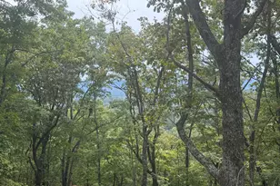 Lot 37 Quail Creek, Murphy, NC 28906 - Photo 27