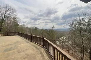 486 Henderson Ln, Mineral Bluff, GA 30559 - Photo 53
