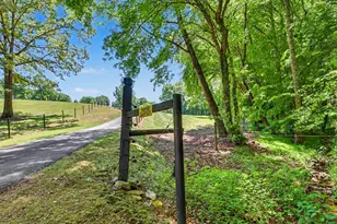 1193 Pine Log Rd, Warne, NC 28909 - Photo 57