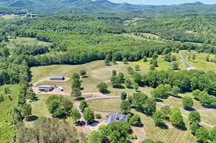 1193 Pine Log Rd, Warne, NC 28909 - Photo 59