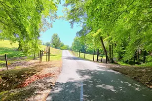 1193 Pine Log Rd, Warne, NC 28909 - Photo 67
