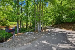 1193 Pine Log Rd, Warne, NC 28909 - Photo 63