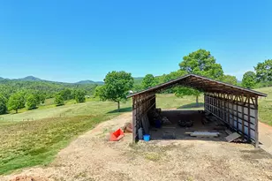 1193 Pine Log Rd, Warne, NC 28909 - Photo 69