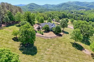 1193 Pine Log Rd, Warne, NC 28909 - Photo 61