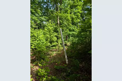Tr 2 Flacon, Hayesville, NC 28904 - Photo 13