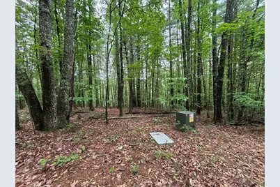 Lot 3 Horse Camp Drive, Hayesville, NC 28904 - Photo 9