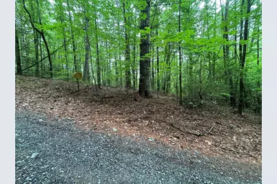 Lot 3 Horse Camp Drive, Hayesville, NC 28904 - Photo 7