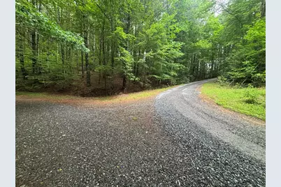 Lot 7 Horse Camp Drive, Hayesville, NC 28904 - Photo 5