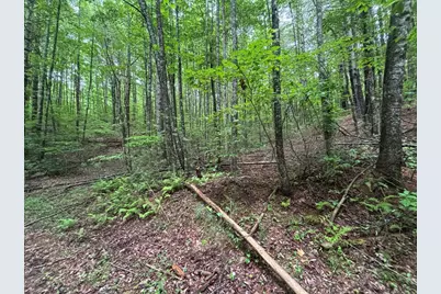 Lot 7 Horse Camp Drive, Hayesville, NC 28904 - Photo 7