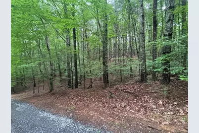 Lot 7 Horse Camp Drive, Hayesville, NC 28904 - Photo 3