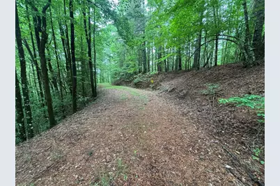 Lot 11 Horse Camp Drive, Hayesville, NC 28904 - Photo 3