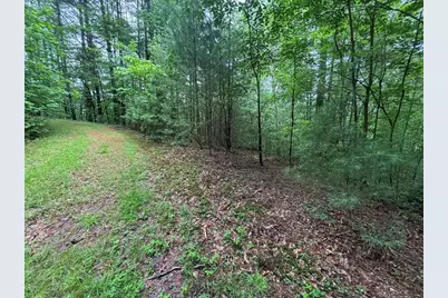 Lot 11 Horse Camp Drive, Hayesville, NC 28904 - Photo 1
