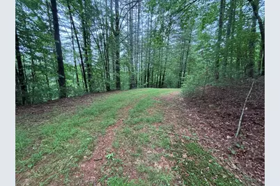 Lot 11 Horse Camp Drive, Hayesville, NC 28904 - Photo 7