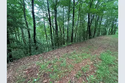 Lot 11 Horse Camp Drive, Hayesville, NC 28904 - Photo 5