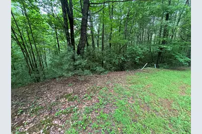 Lot 11 Horse Camp Drive, Hayesville, NC 28904 - Photo 11