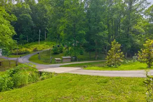 224 Cochrans Cr Rd, Robbinsville, NC 28771 - Photo 41