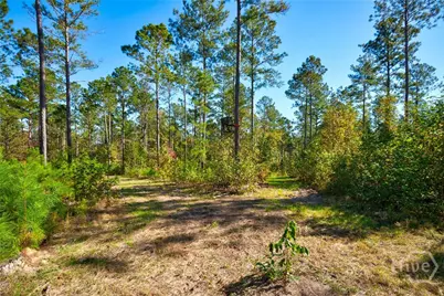 1 Bridges, Carlton, GA 30627 - Photo 21