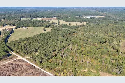 1 Bridges, Carlton, GA 30627 - Photo 31