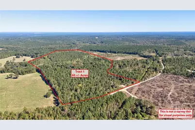 1 Bridges, Carlton, GA 30627 - Photo 3