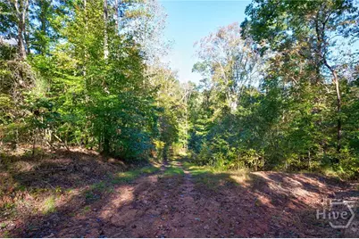 1 Bridges, Carlton, GA 30627 - Photo 13