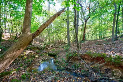 1 Bridges, Carlton, GA 30627 - Photo 17