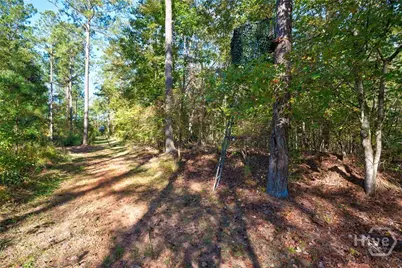 1 Bridges, Carlton, GA 30627 - Photo 11