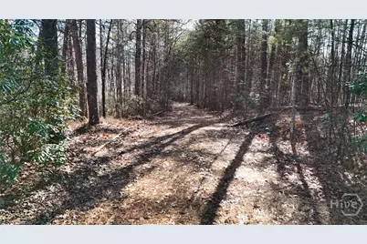 0 Gold Valley Road, Sautee Nacoochee, GA 30571 - Photo 3