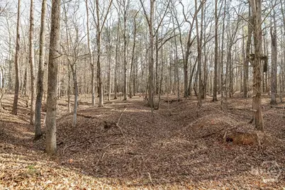 1115 Black Ike Road, Watkinsville, GA 30677 - Photo 47