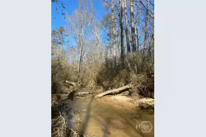 0 Kent Rock Road, Loganville, GA 30052 - Photo 3
