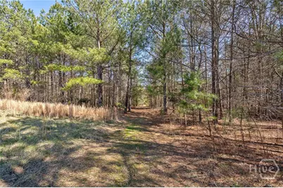 0 Kent Rock Road, Loganville, GA 30052 - Photo 11