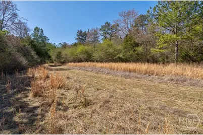 0 Kent Rock Road, Loganville, GA 30052 - Photo 21