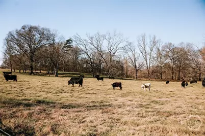 0 Crawfordville Road, Stephens, GA 30667 - Photo 3