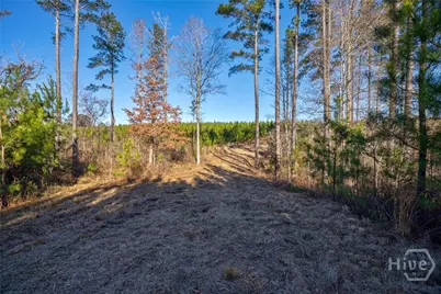 0 Lower Harmony, Eatonton, GA 31024 - Photo 11