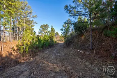 0 Lower Harmony, Eatonton, GA 31024 - Photo 25