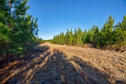 0 Lower Harmony, Eatonton, GA 31024 - Photo 19