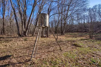 0 Lower Harmony, Eatonton, GA 31024 - Photo 33