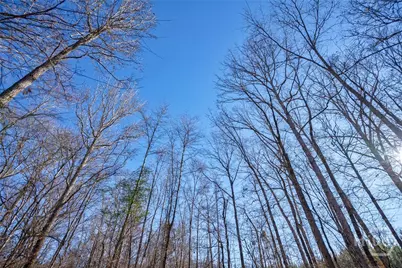 0 Lower Harmony, Eatonton, GA 31024 - Photo 29