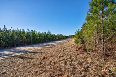 0 Lower Harmony, Eatonton, GA 31024 - Photo 17