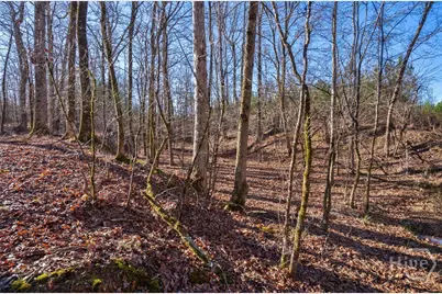 0 Lower Harmony, Eatonton, GA 31024 - Photo 37
