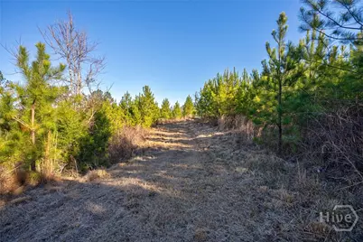 0 Lower Harmony, Eatonton, GA 31024 - Photo 27