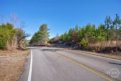 0 Lower Harmony, Eatonton, GA 31024 - Photo 3